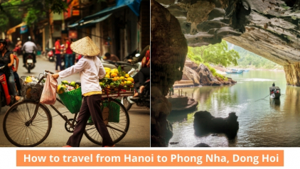 Hanoi to Phong Nha Dong Hoi: Complete Guide