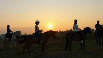 Horse Riding in Siem Reap: Unique Way to Experience