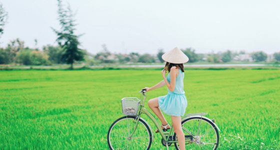 A Green Travel Guide to Eco-friendly Vacations in Vietnam