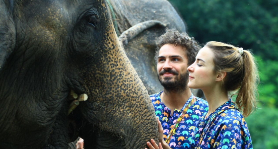 5 Elephant Sanctuaries to Visit in Chiang Mai