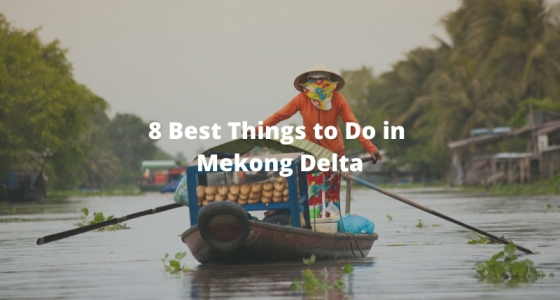 8 Best Things to Do in Mekong Delta [Should not Miss]