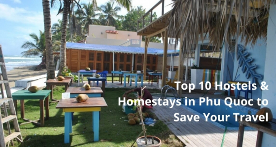 Top 10 Hostels & Homestays in Phu Quoc to Save Your Travel