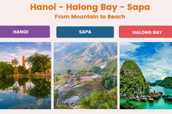 Best Hanoi Sapa Halong Bay Vietnam Itinerary 6 days