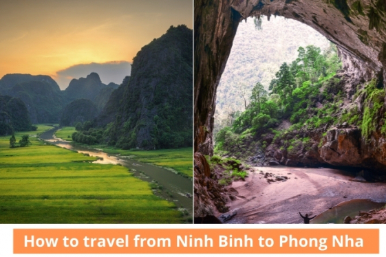 How to travel from Ninh Binh to Phong Nha