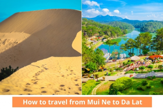 How to Get to Dalat from Mui Ne?