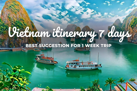 Best Recommended 7 Days Vietnam Itinerary 2024