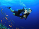 Scuba Diving In Hoian