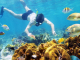 Scuba Diving In Hoian (2)