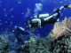 Scuba Diving In Hoian (3)