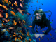 Scuba Diving In Hoian (4)