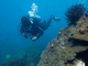 Scuba Diving In Hoian (8)