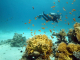 Scuba Diving In Hoian (9)