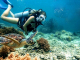 Scuba Diving In Hoian (10)