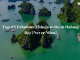 Top 25 Fabulous Things to Do in Halong Bay [Never Miss]
