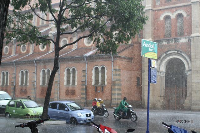 Sudden rain in Ho Chi Minh