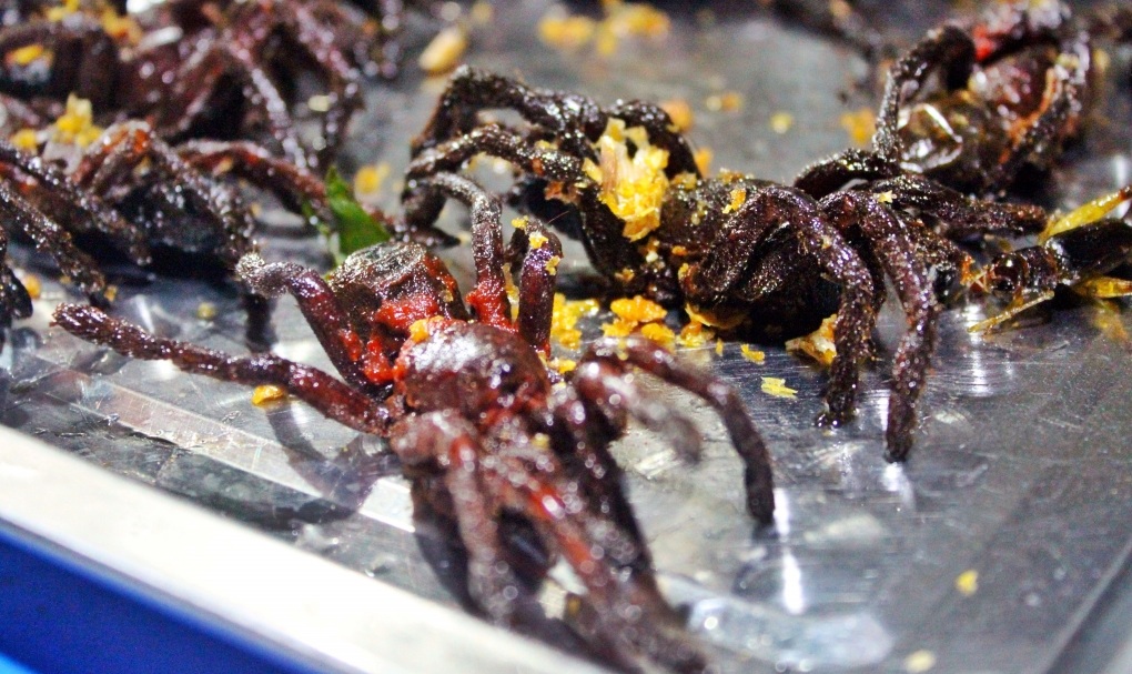 Freshest fried insects