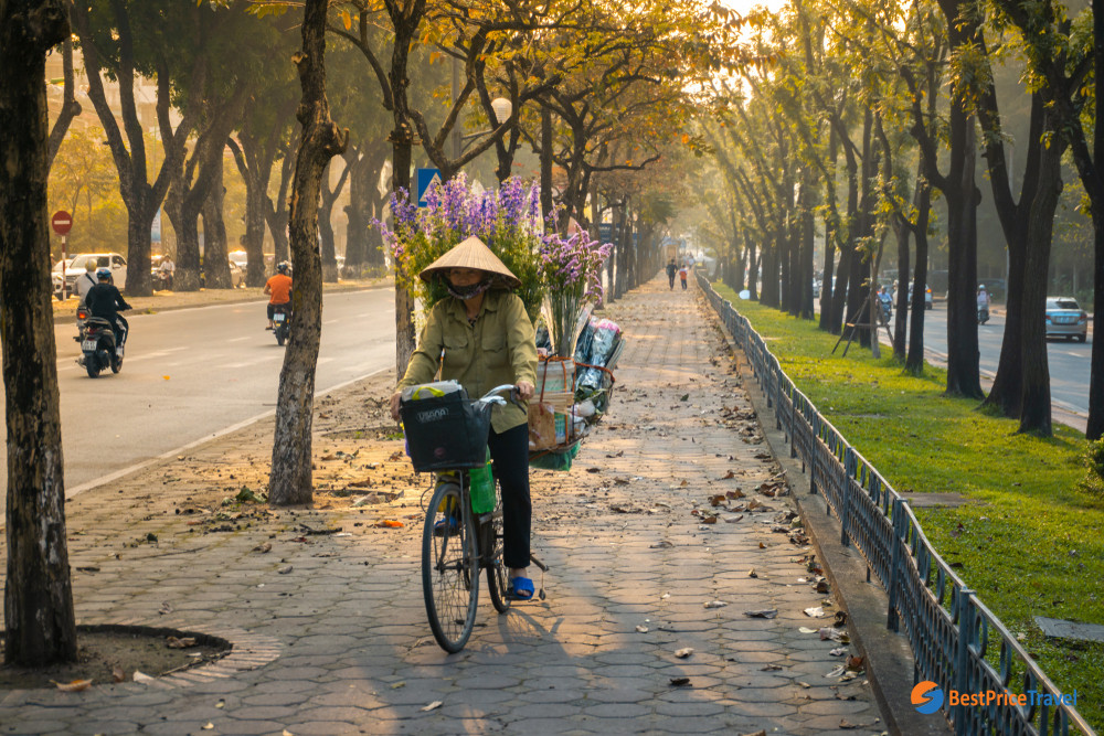 Kim Ma Street - Romantic Street in Hanoi