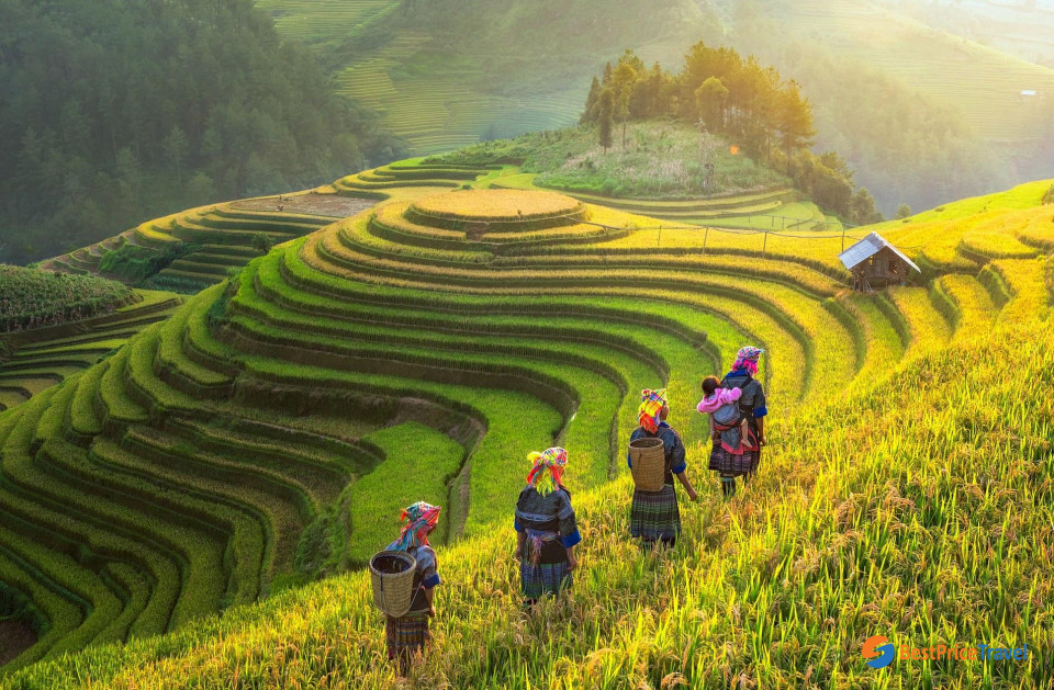 The best way to witness the rice terraces in Vietnam is trekking to Sapa hill tribes
