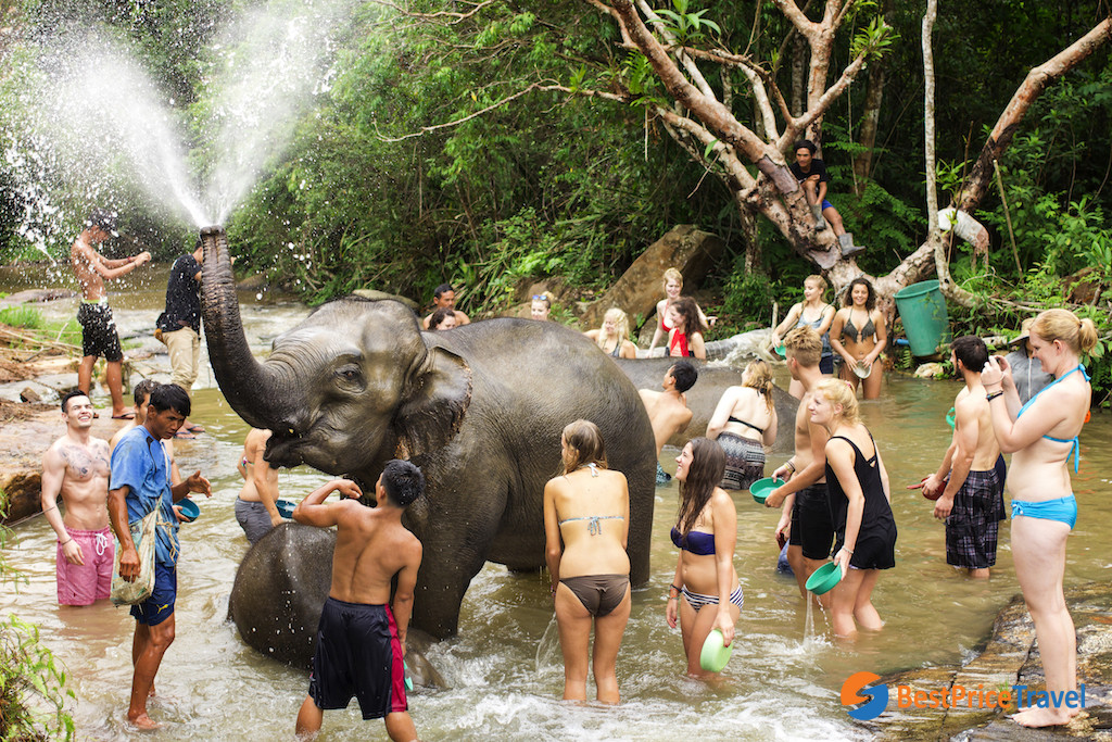 Enjoy elephant bathing at the sanctuary