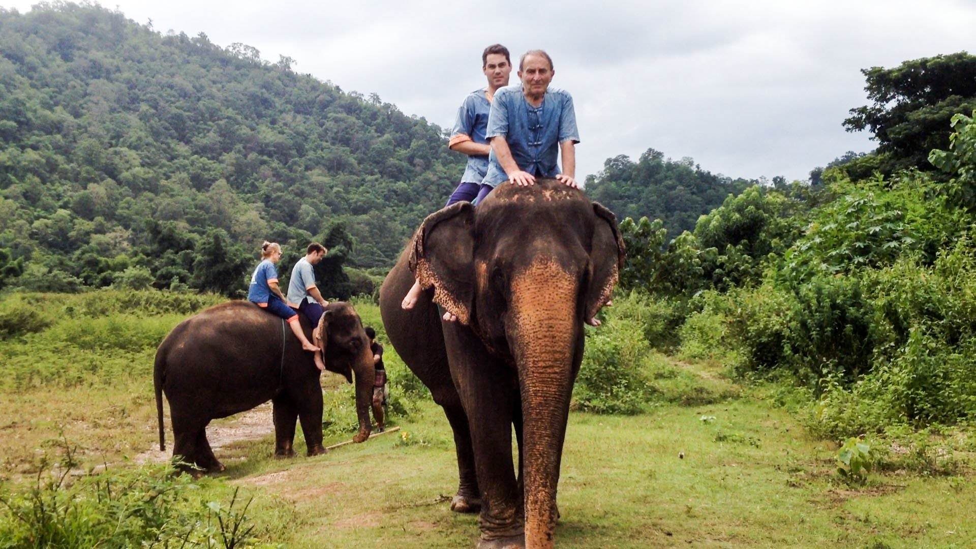 Elephant riding - Top 5 Adventurous Activities in Chiang Mai	