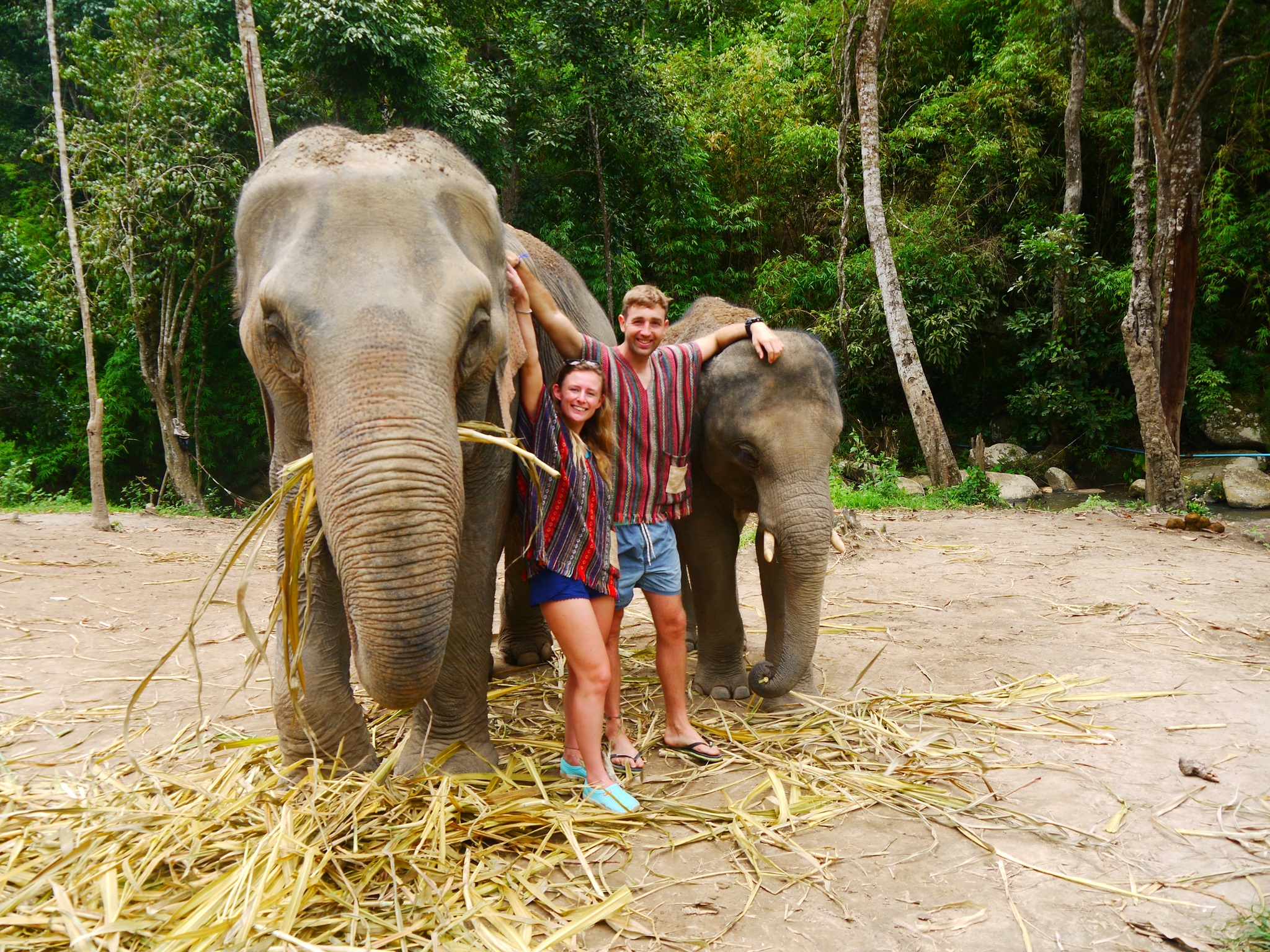 Elephant Secure Park - 5 Elephant Sanctuaries to Visit in Chiang Mai