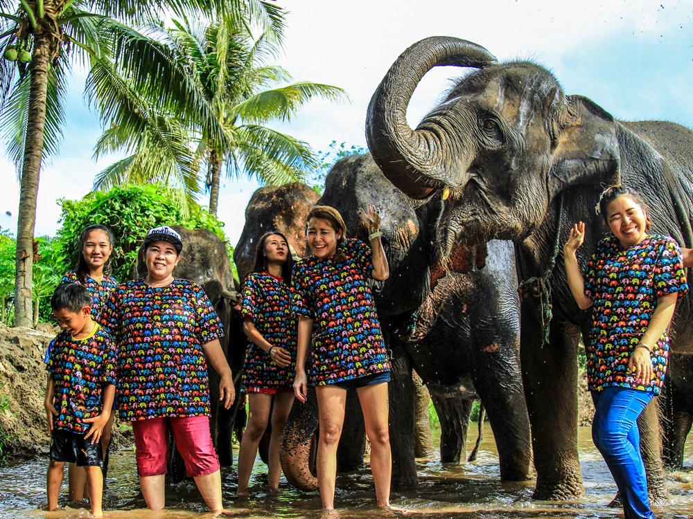 Kanta Elephant Sanctuary - 5 Elephant Sanctuaries to Visit in Chiang Mai