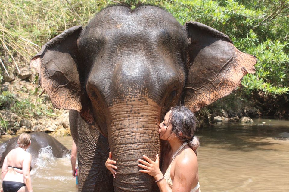 Hug Elephant Sanctuary - 5 Elephant Sanctuaries to Visit in Chiang Mai
