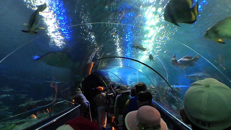 Tri Nguyen Aquarium 30 days in Vietnam thailand cambodia 
