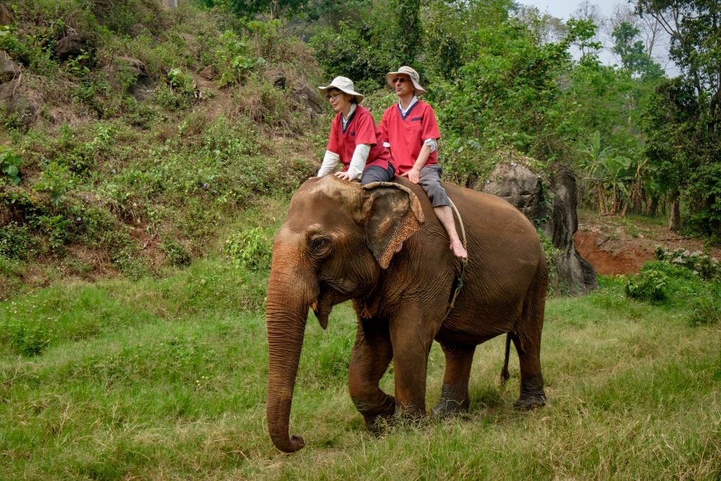 Elephant Sanctuaries  - Thailand Weather in April