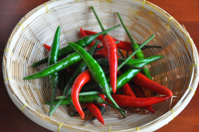 Chili - Traditional spices used in Thai Cuisine