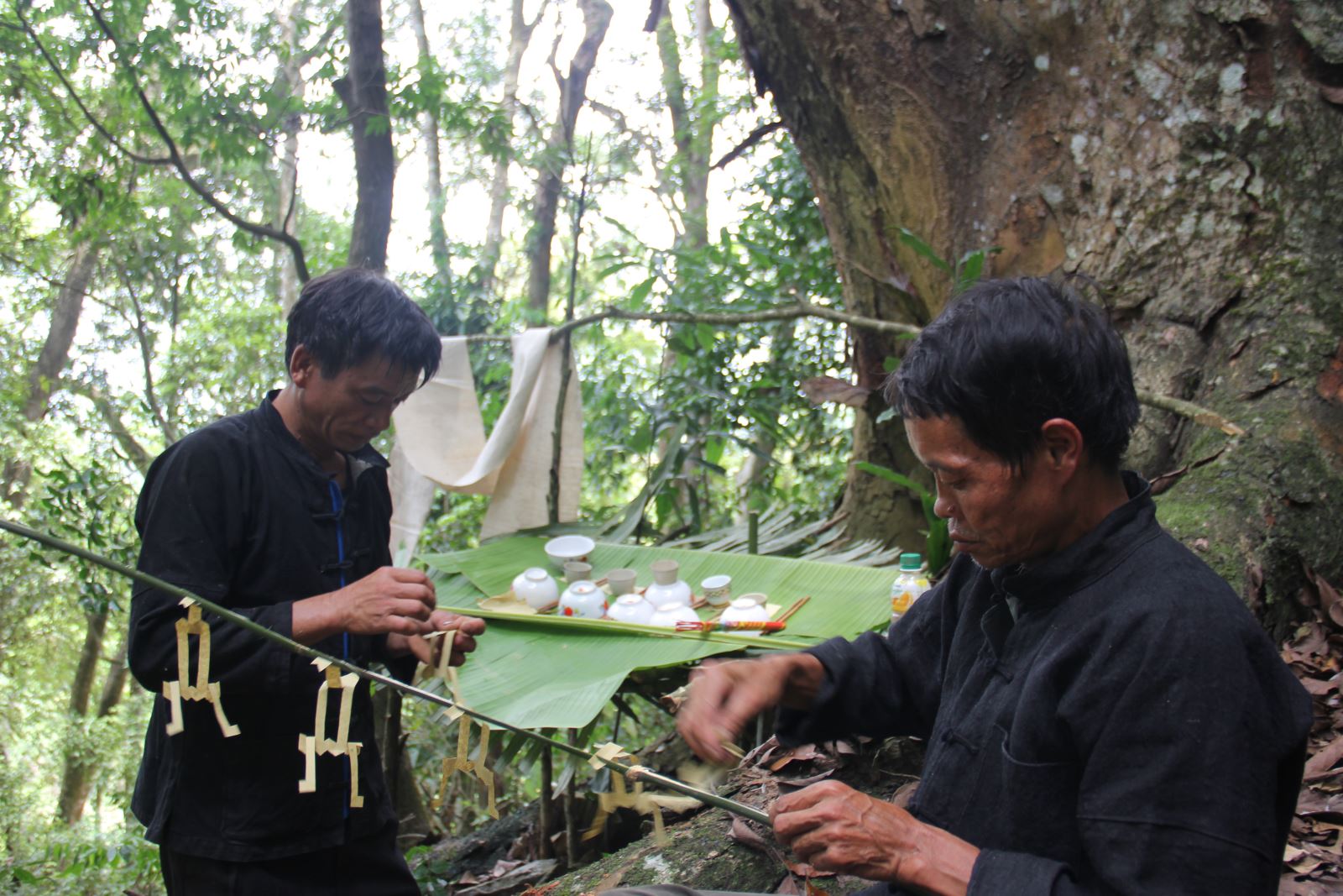 Forest Worshipping Nung People