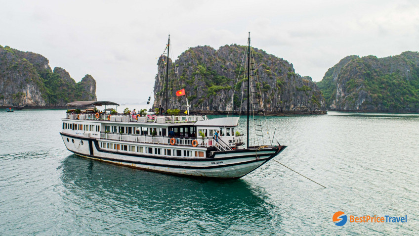 Swan cruise - depart from Hon Gai harbor
