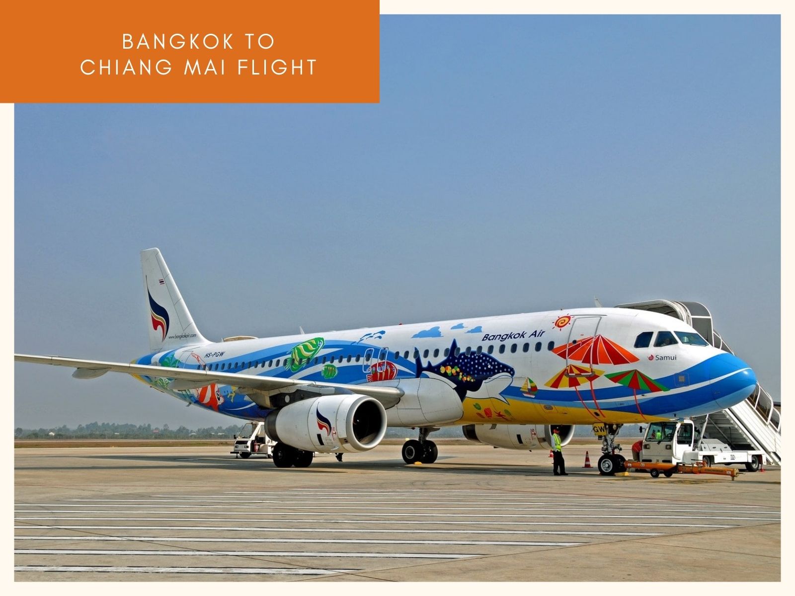 Bangkok Air fly from Bangkok to Chiang Mai