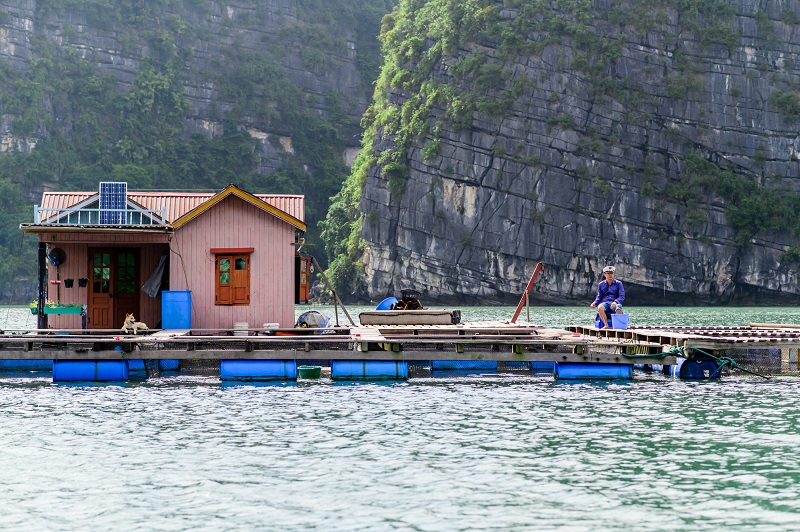 fishing village places to visit in Halong Bay 