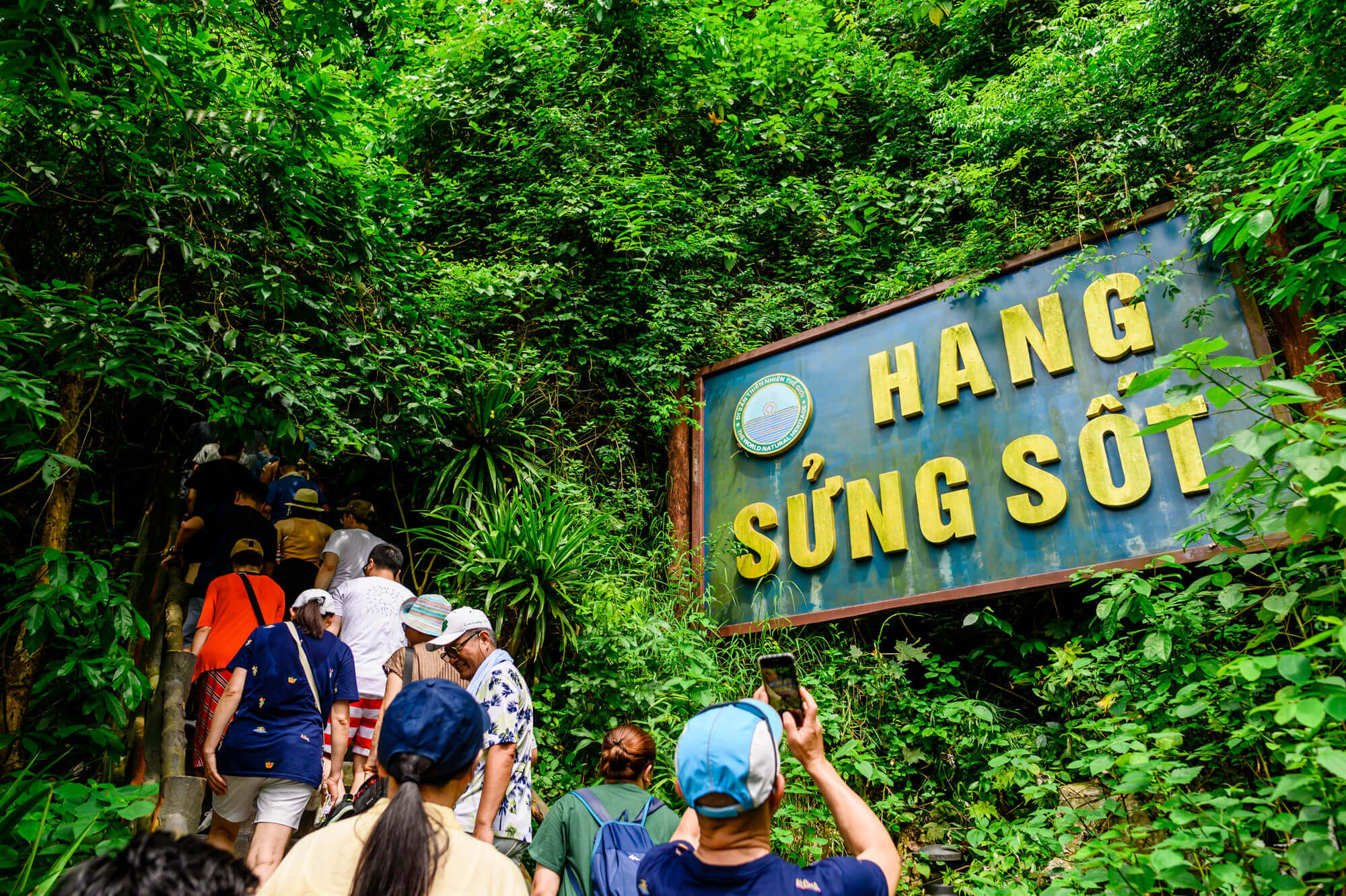 Sung Sot cave Top 25 Amazing Places to Visit in Halong Bay 2021