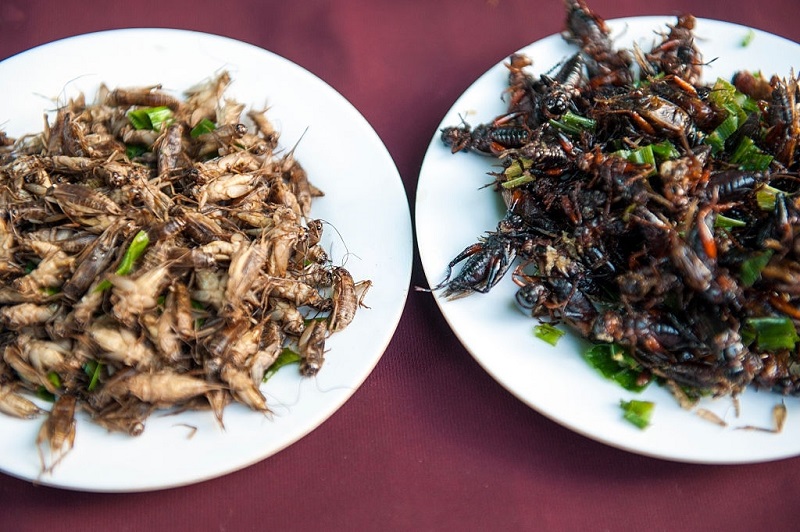 China Town Insect Food