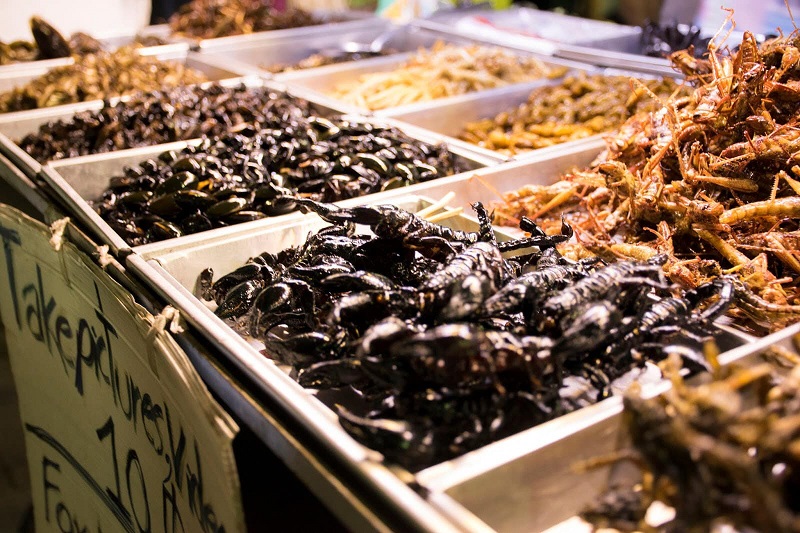 Insect Street Food in Thailand