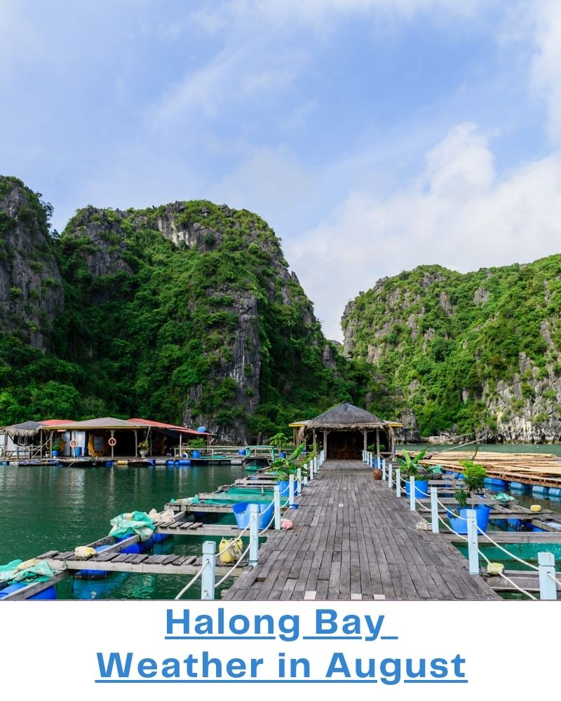 Halong Bay weather August