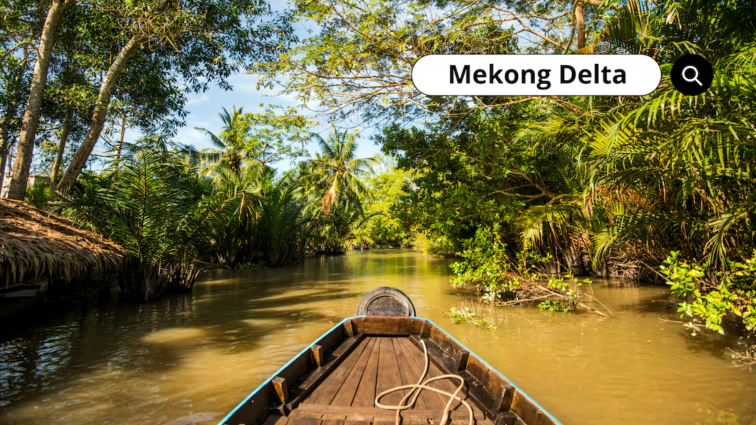 Mekong Delta 
