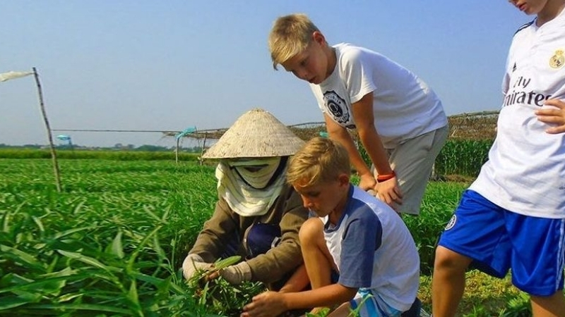 Try to be a farmer at Tra Que village with kids