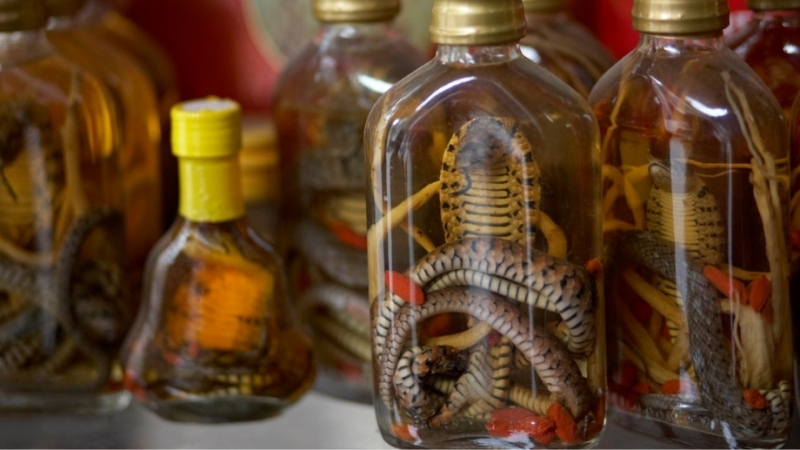 Snake wine in Vietnam