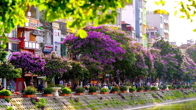 Prepare for great Hanoi Summer