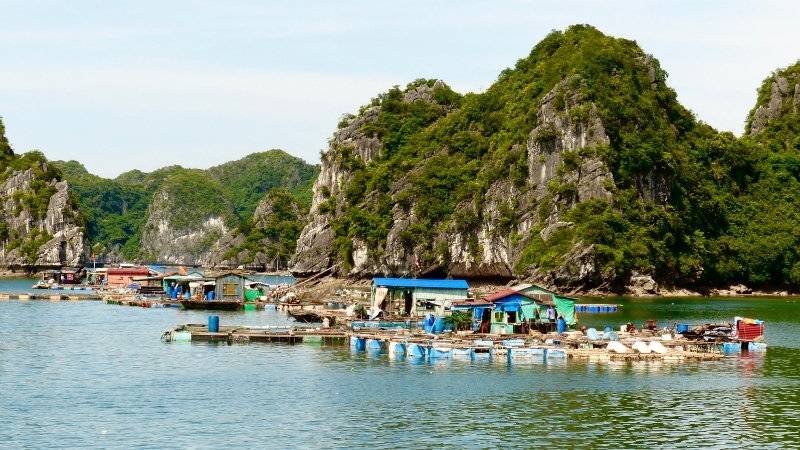 Cua Van Floating Village Halong Bay