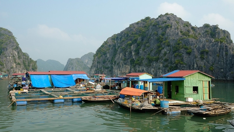 Hoa Cuong Floating village Halong