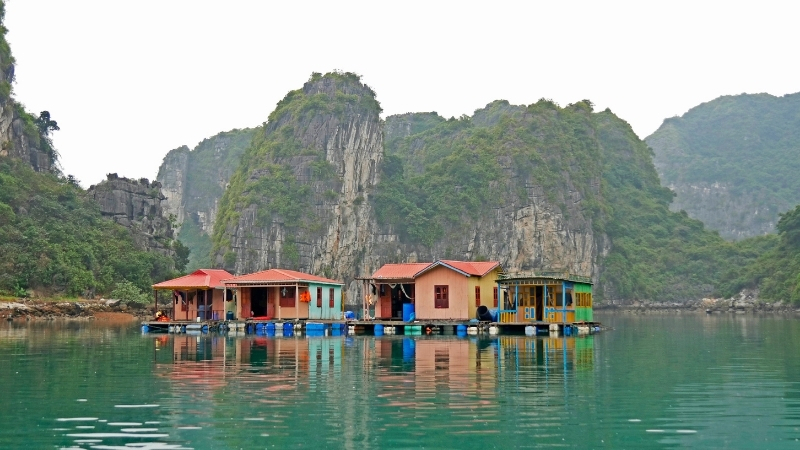 Vung Vieng Foating Village Halong Bay