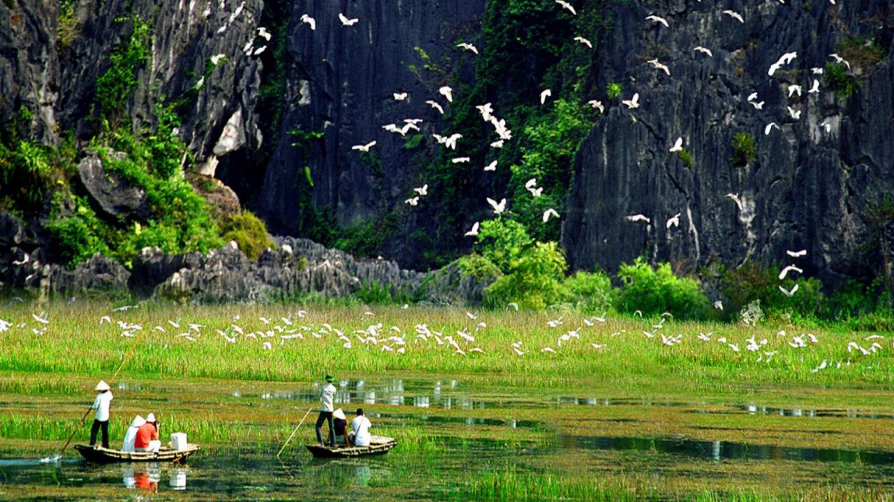 Thung Nham Bird Park - Things to do in Tam Coc