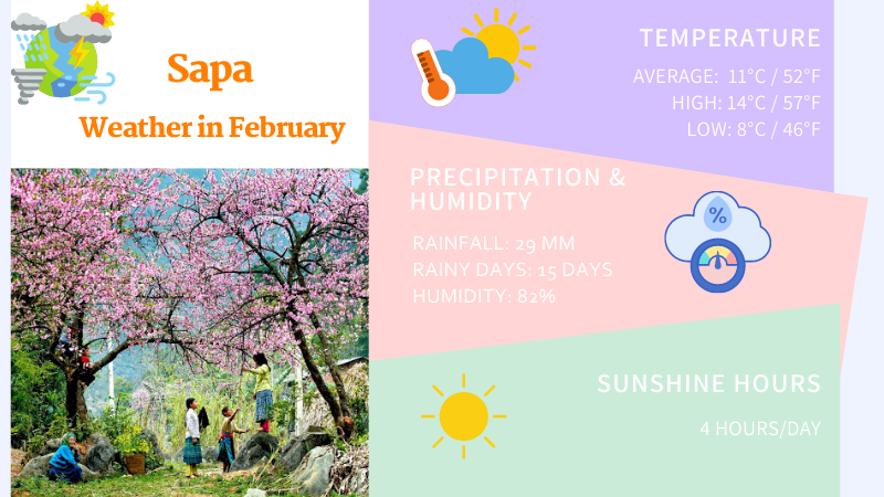 Sapa weather in February