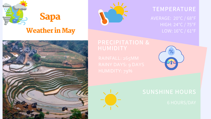 Sapa weather in May