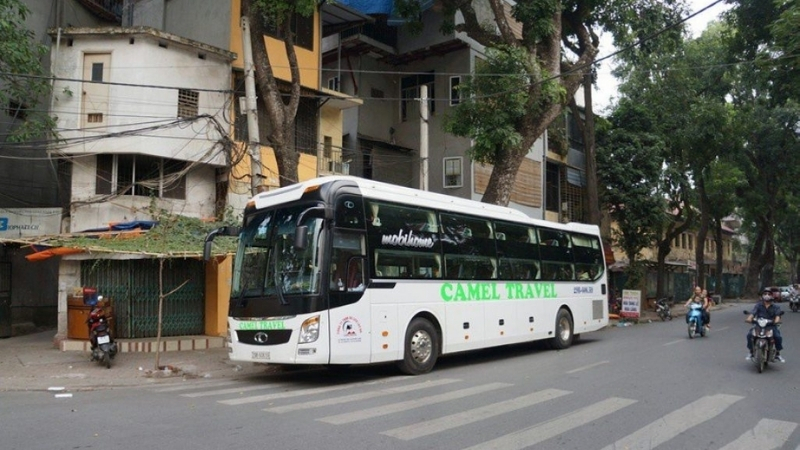 Camel Travel bus
