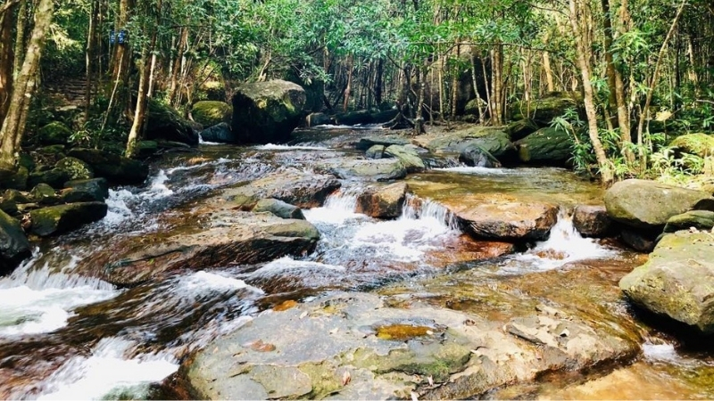 Stream in Phu Quoc is more beautiful during rainy season
